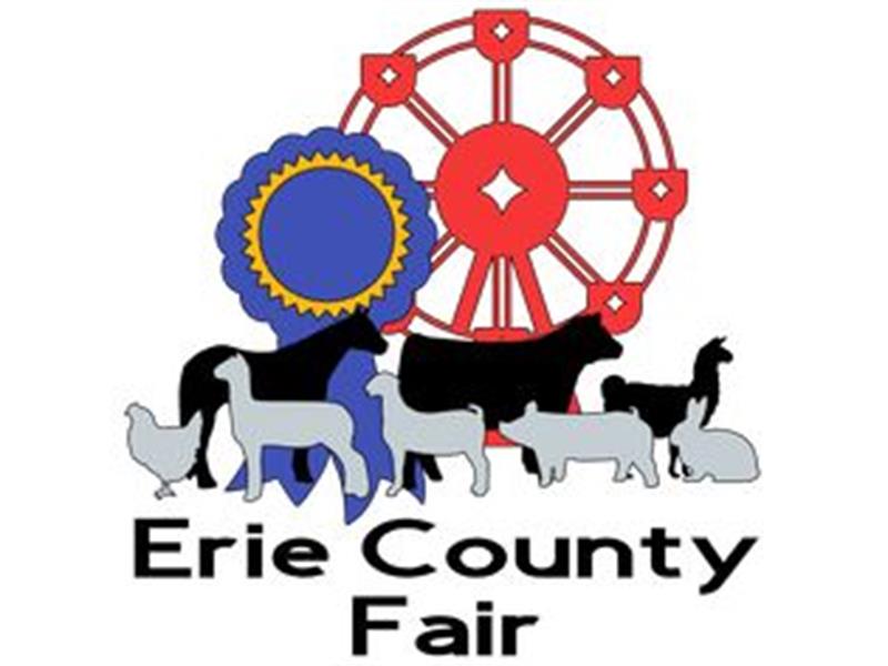 Fair Logo