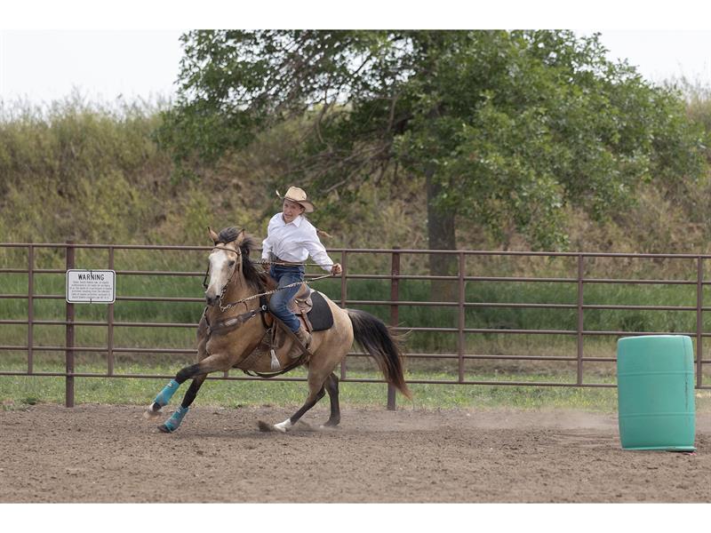 Logo for 2024 Lincoln County 4-H Horse Show